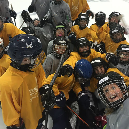 pinnacle hockey on ice training